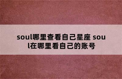 soul哪里查看自己星座 soul在哪里看自己的账号